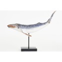 Figura ballena