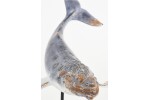 Figura ballena