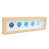 Cadre marin coquillages