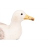 Gaivota de madeira