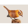 Wren Bird