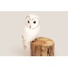 Oiseau hibou