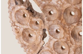 Panel coral CANBERRA