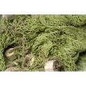 Fishing nets 170x170