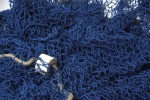 Fishing nets 170x170