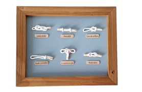 Picture of knots