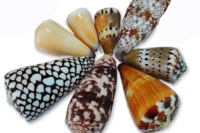 CONUS ASSORTMENTS