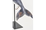 Figura ballena