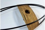 Poisson de mur