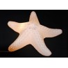 "STARFISH" LAMP