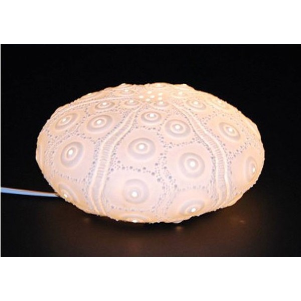 Sea Urchin Lamp For Decoration Fo Your, Urchin Ball Table Lamp