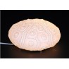 LAMPARA CERAMICA "ERIZO DE MAR"