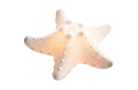 Starfish candelholder