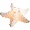 Portacandele stella marina