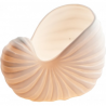 Conch candelholder
