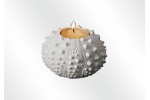 Hedgehog candelholder