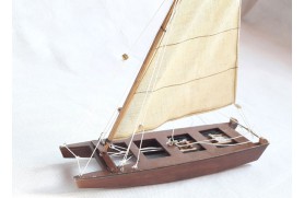 Small Sailing patin