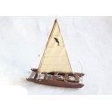 Small Sailing patin