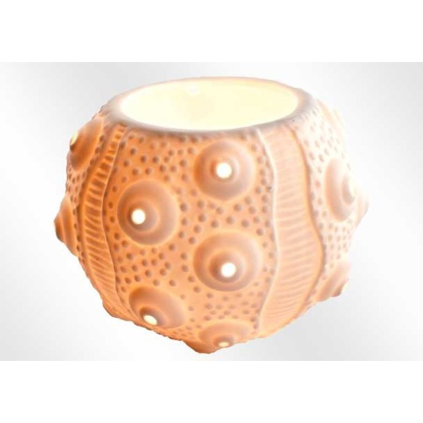 Candleholder Sea urchin