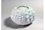 Hedgehog candelholder