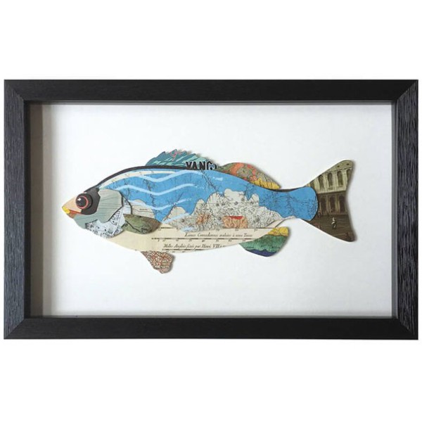 Quadro com peixe