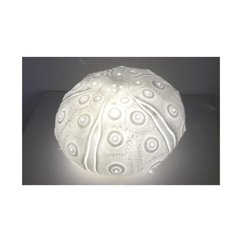 Sea Urchin Lamp For Decoration Fo Your, Urchin Table Lamp