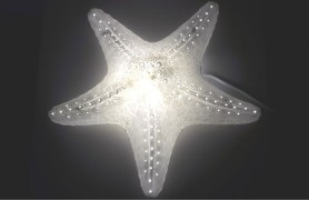 LAMPE "Starfish"