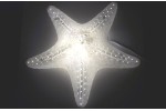 LAMPARA "ESTRELLA DE MAR"