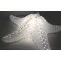 LAMPE "ETOILE DE MER"