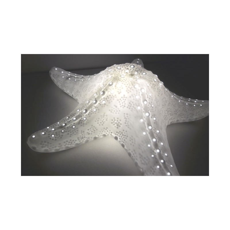 LAMPE "ETOILE DE MER" décoration pour votre bureau ou à domicile.