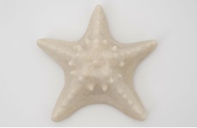 Starfish Lamp