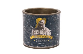 Anchovies can