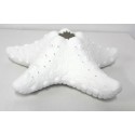 Starfish candelholder