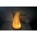 Whale Tail Lamp