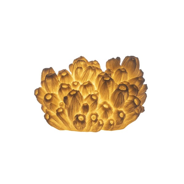 Coral Lamp