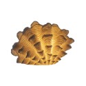 Lampada conchiglia