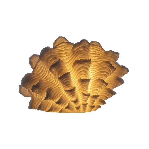 Sea shell lamp