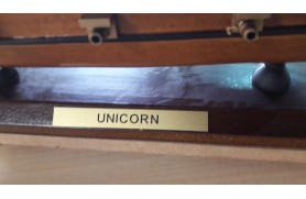 Unicorni