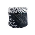 CESTA COASTAL