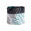 CESTA COASTAL
